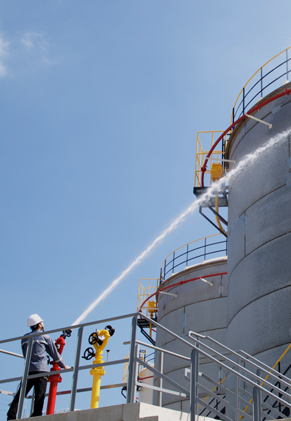 5 Dream a Safer World